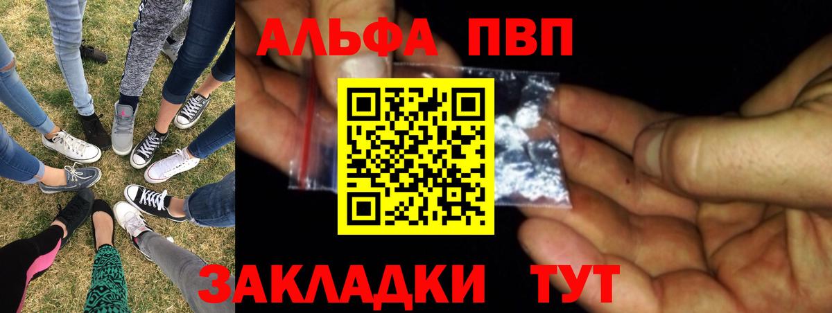 Alfa_PVP СК Печора