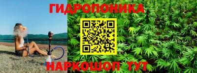 a pvp Свободный