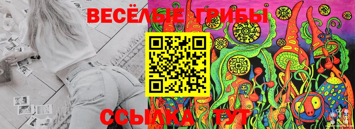 Галлюциногенные грибы GOLDEN TEACHER Печора